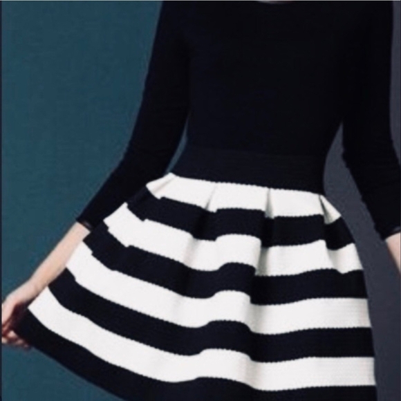 Wild Cat Black and White Striped  Skirt - Picture 9 of 9